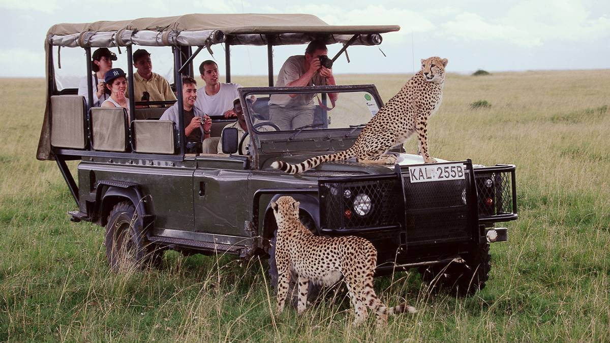 Masai Mara Safari in Kenya