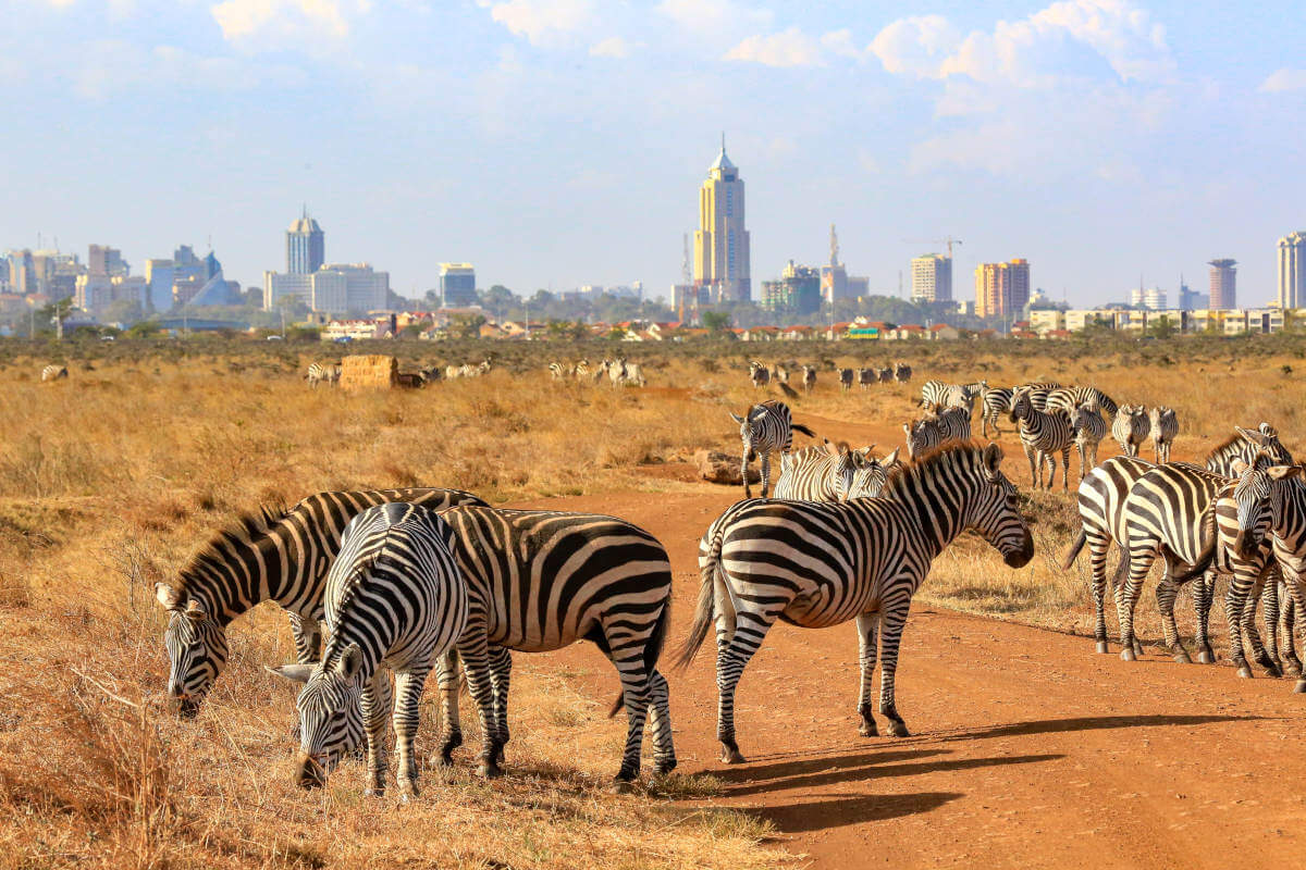 Nairobi National Park in Kenya