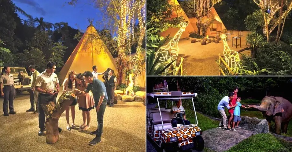 Night Safari in Singapore