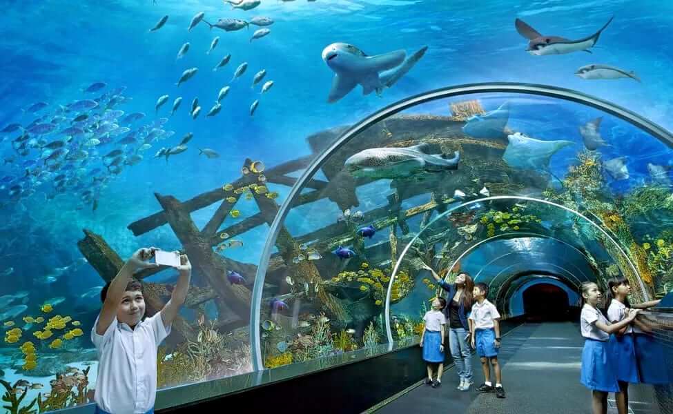 S.E.A. Aquarium Singapore