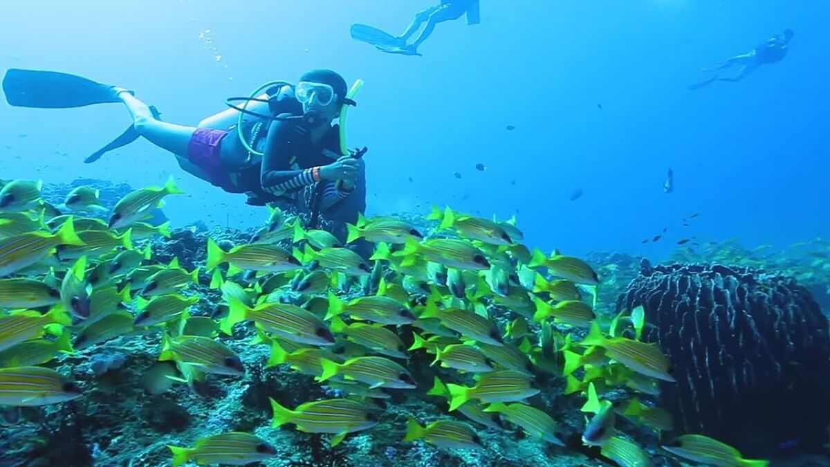 Scuba Diving at Kalpeni Island Lakshadweep