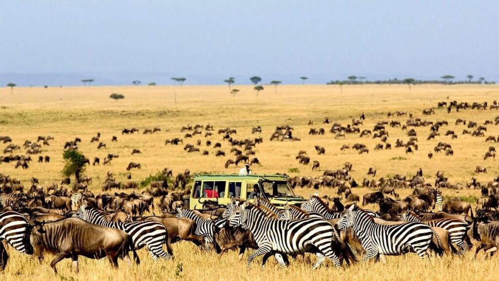 Serengeti National Park, Tanzania