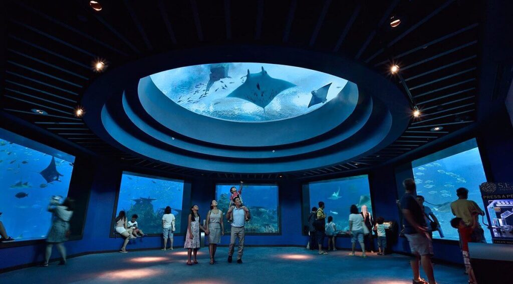 Singapore Oceanarium