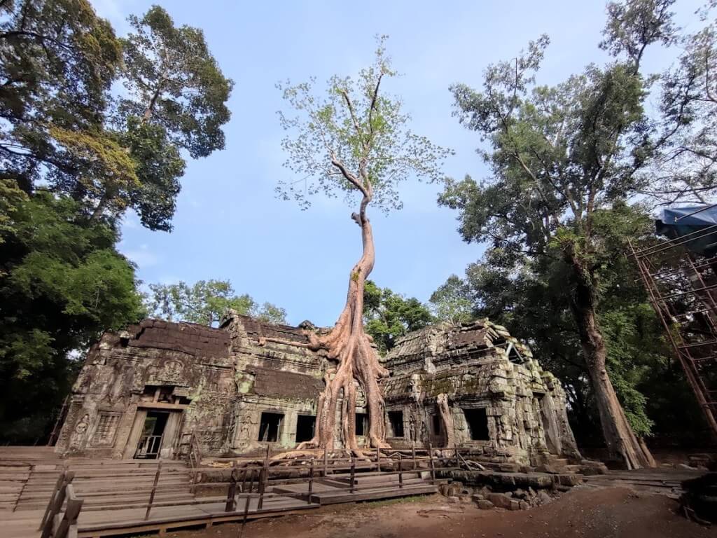 Ta Prohm Temple Cambodia