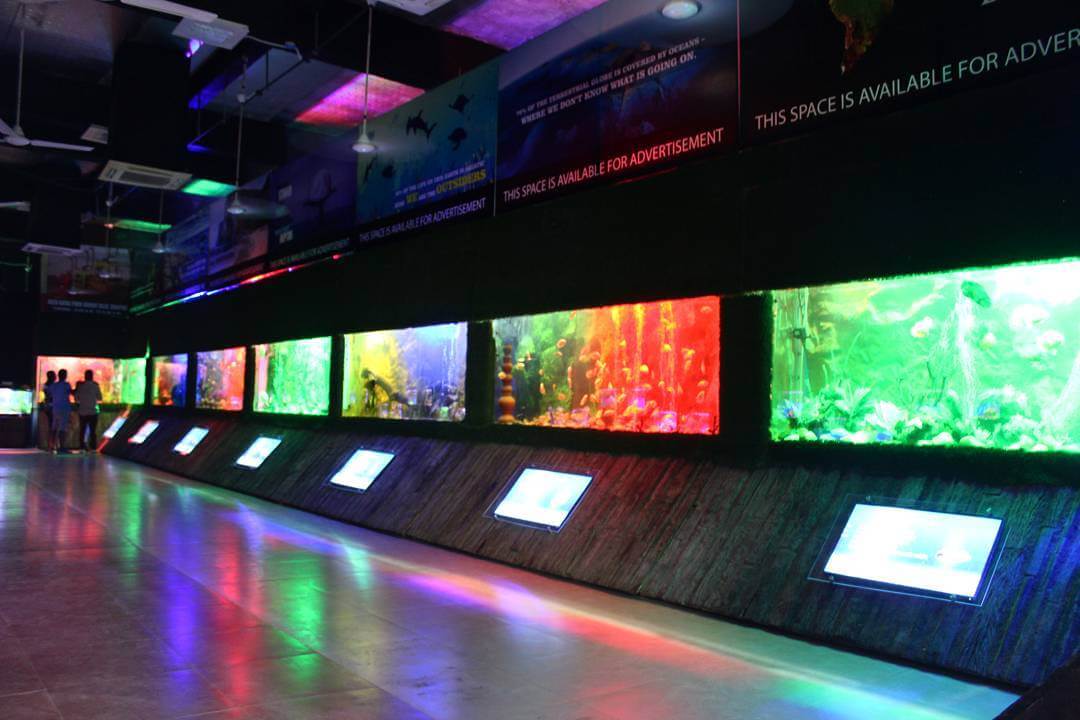 Under the Sun Aquarium Udaipur, Rajasthan