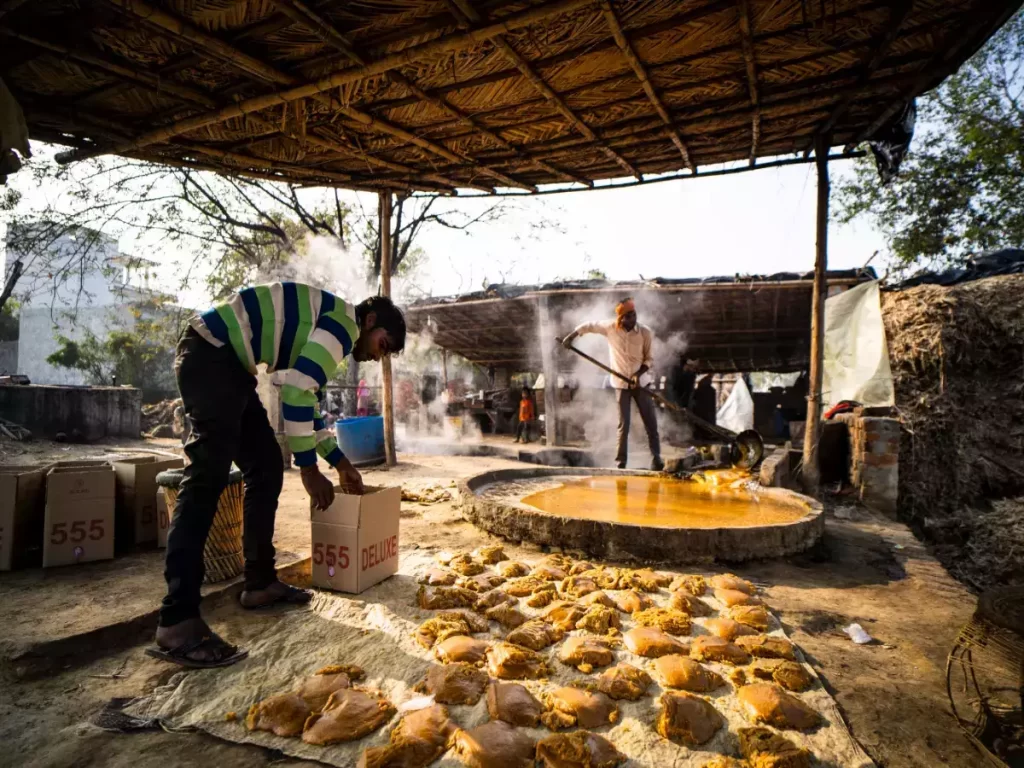Uttar-pradesh-agro-food