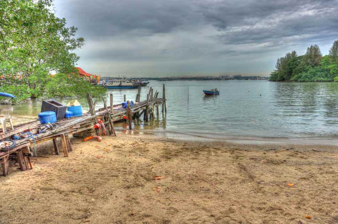 Wilderness in Pulau Ubin Singapore