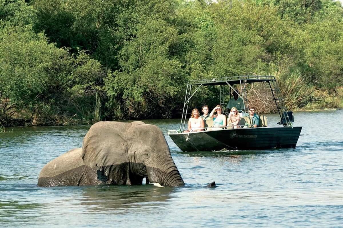 Zambezi River Safari, Zambia