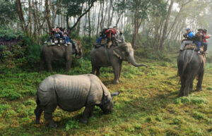 Chitwan National Park Nepal