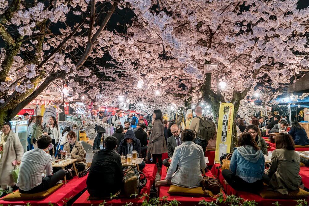 Hanami, Japan