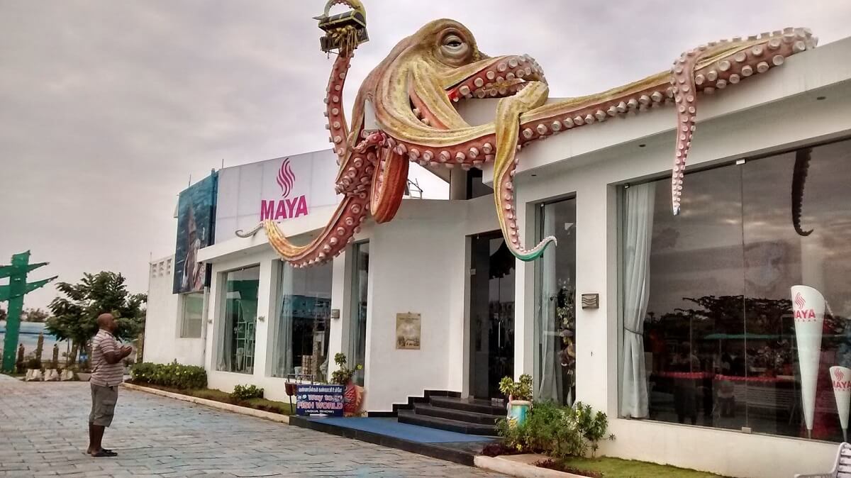 India Seashell Museum Mahabalipuram Tamil Nadu