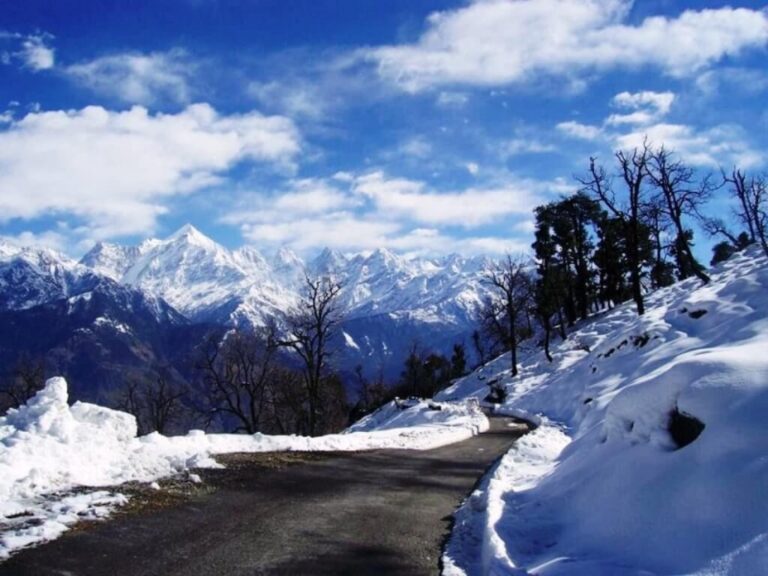 Munsiyari-January (1)