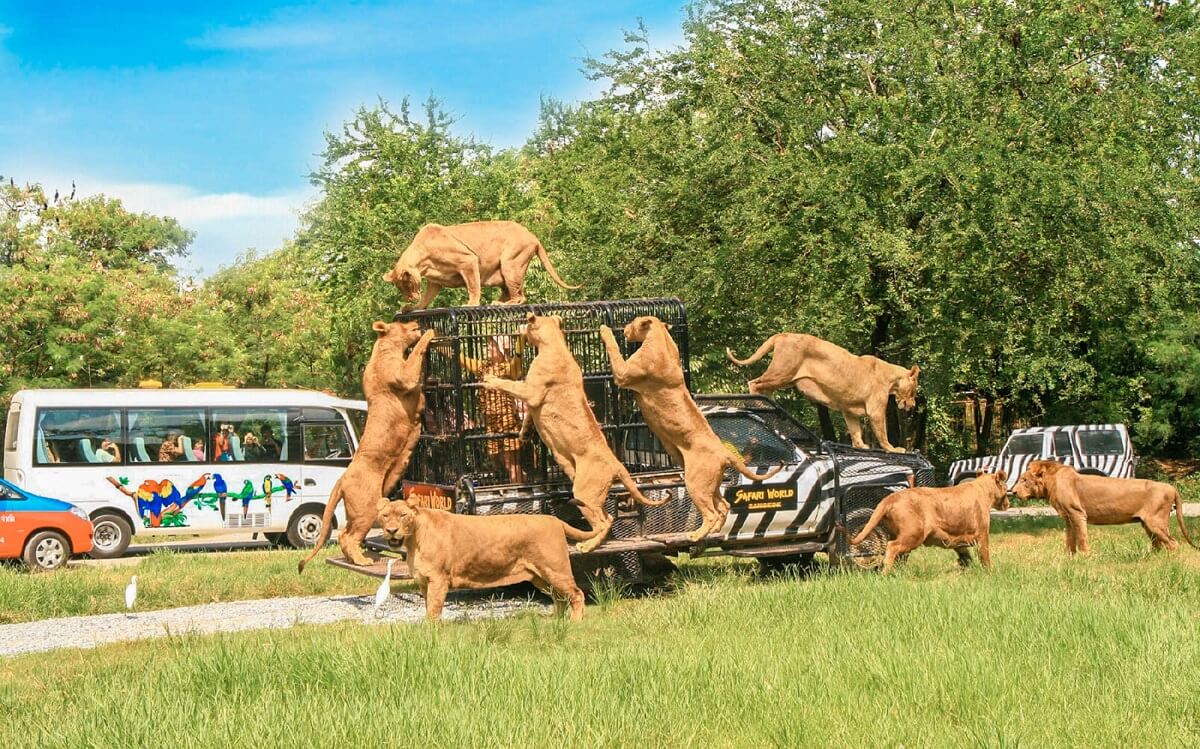 Safari World Bangkok Thailand