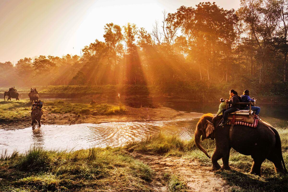 chitwan-national-park-nepal (1)