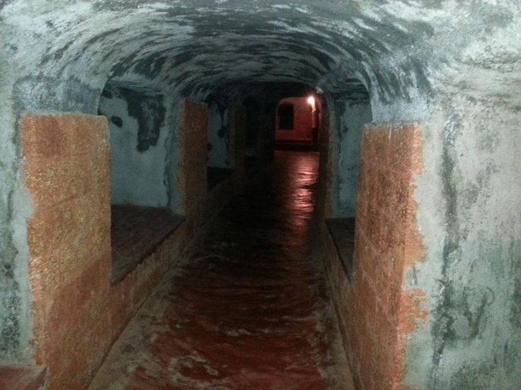 Nityanand ashram caves