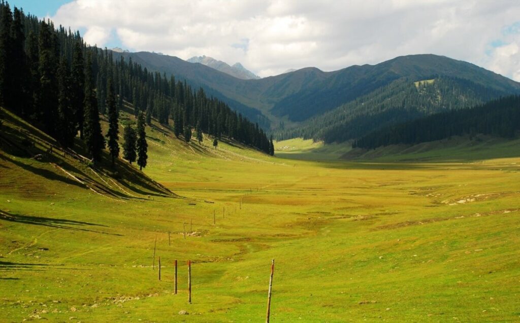 Bungus Valley, Kashmir Travel Guide