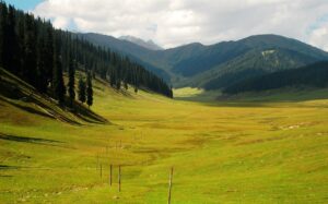 Bungus Valley, Kashmir Travel Guide