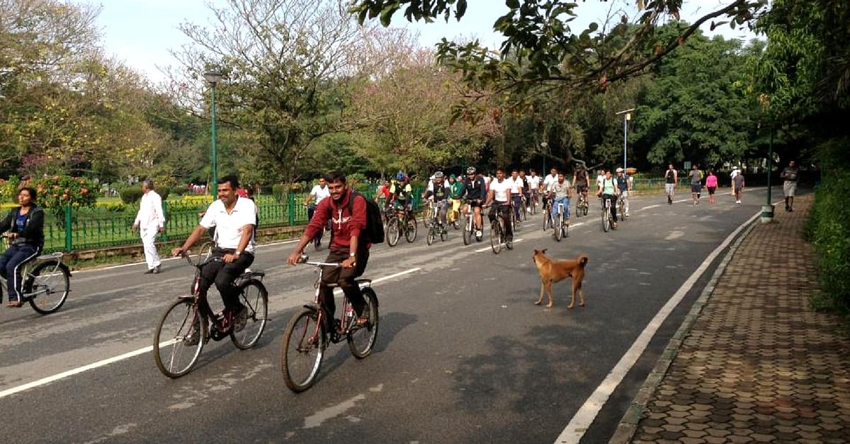 Cubbon Park Cycling Trails