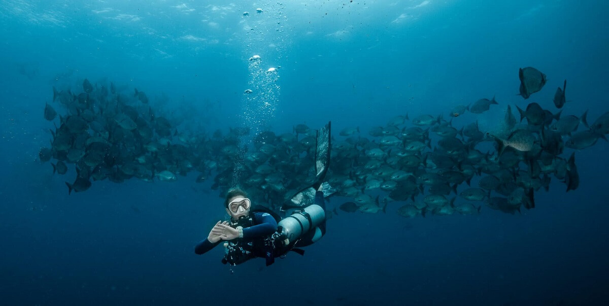 Darwin and Wolf Islands, Ecuador