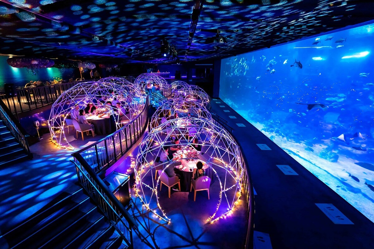 Dining at an Underwater Restaurant Singapore
