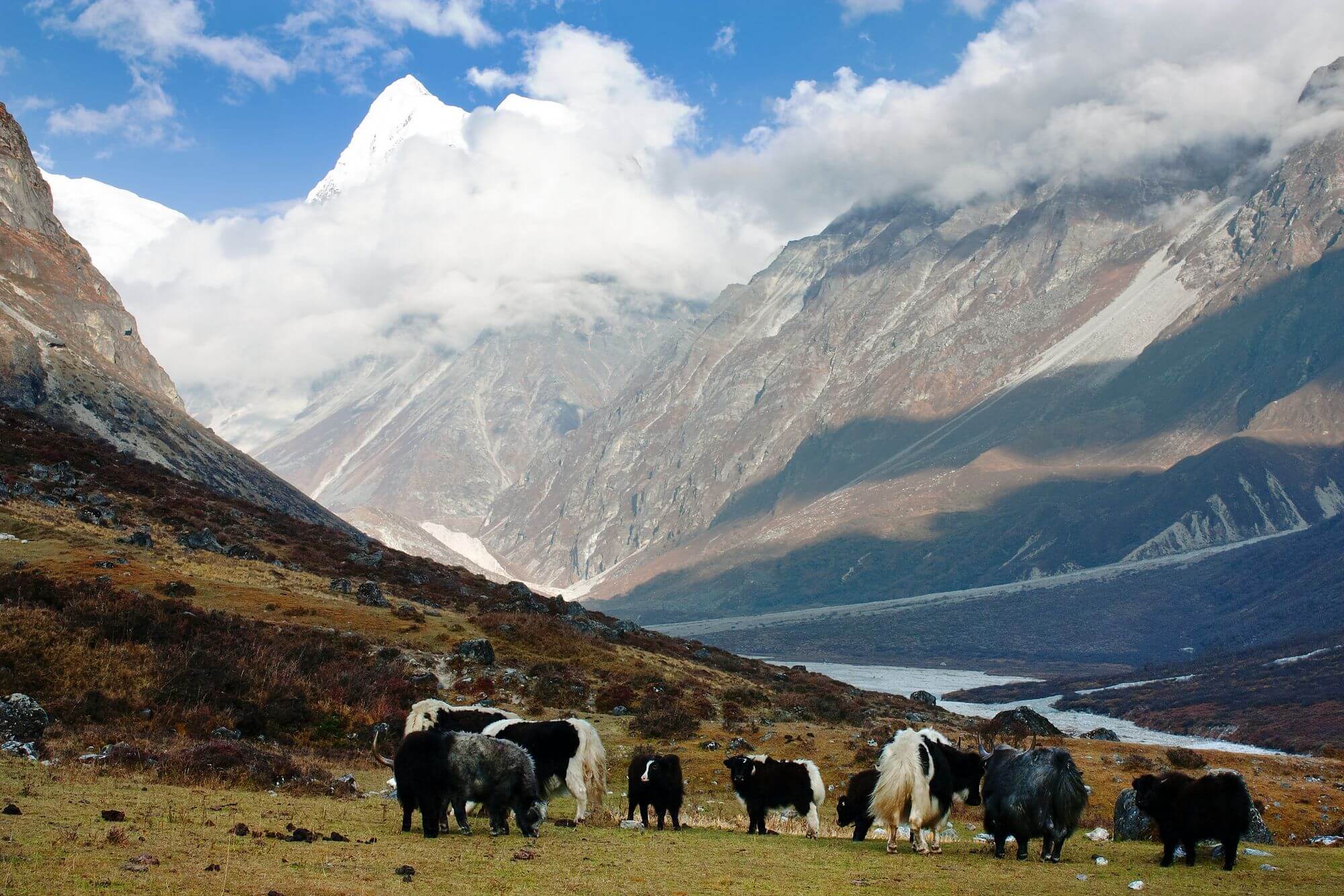 Langtang National Park
