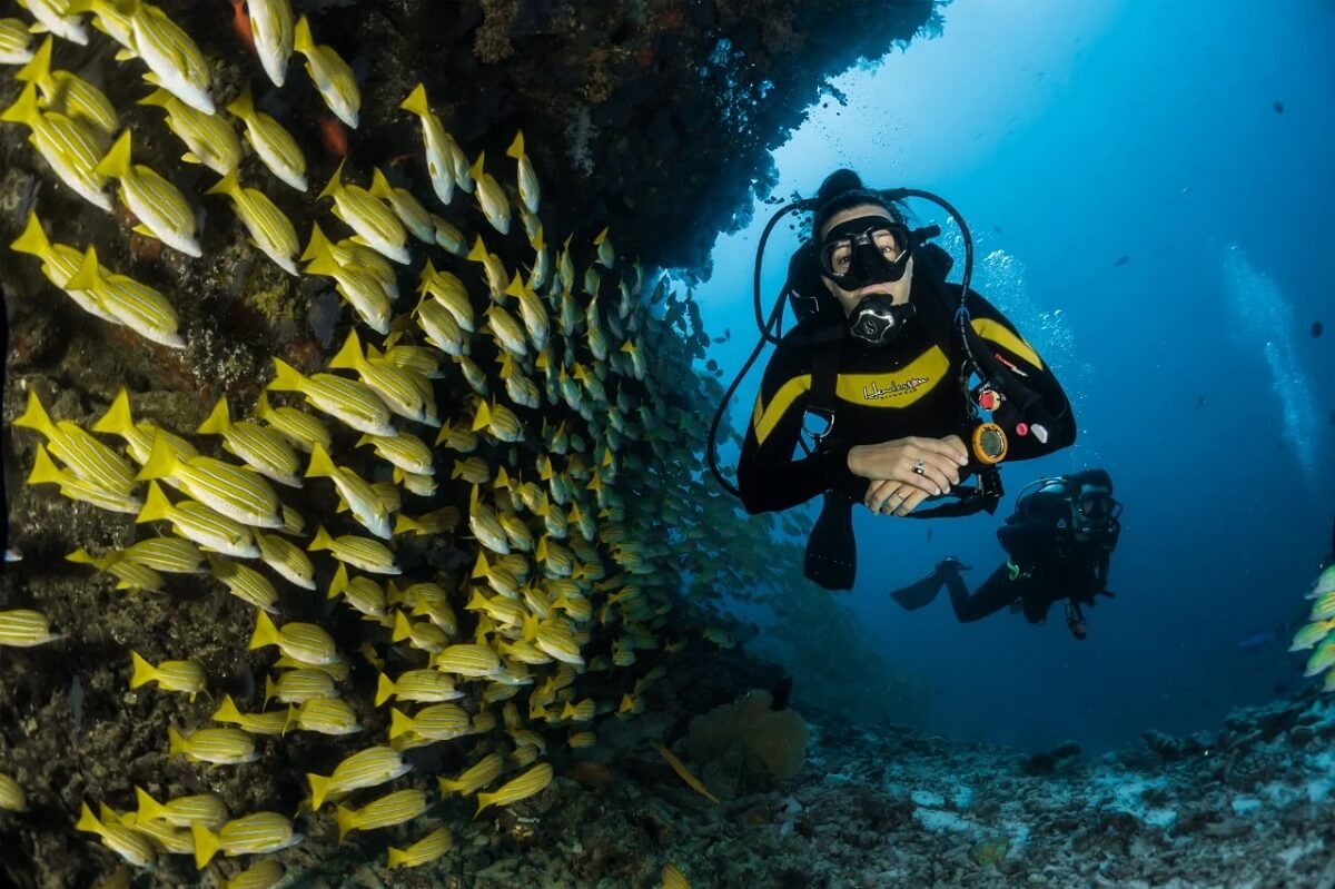 India's Andaman Island Scuba Diving