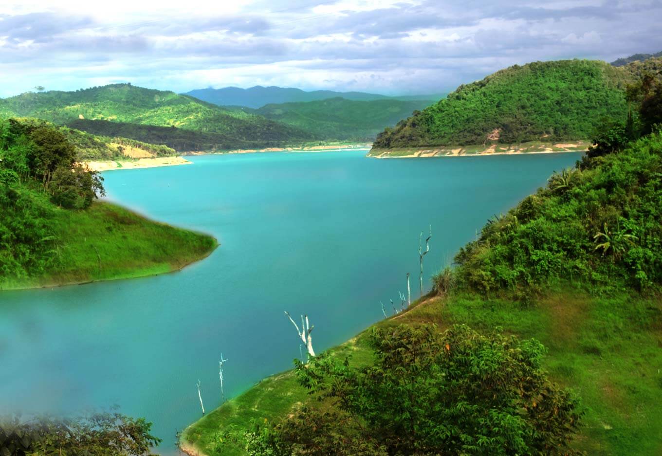 Intanki Wildlife Sanctuary Kohima Nagaland