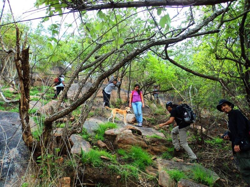 Ranganathaswamy Betta Trek