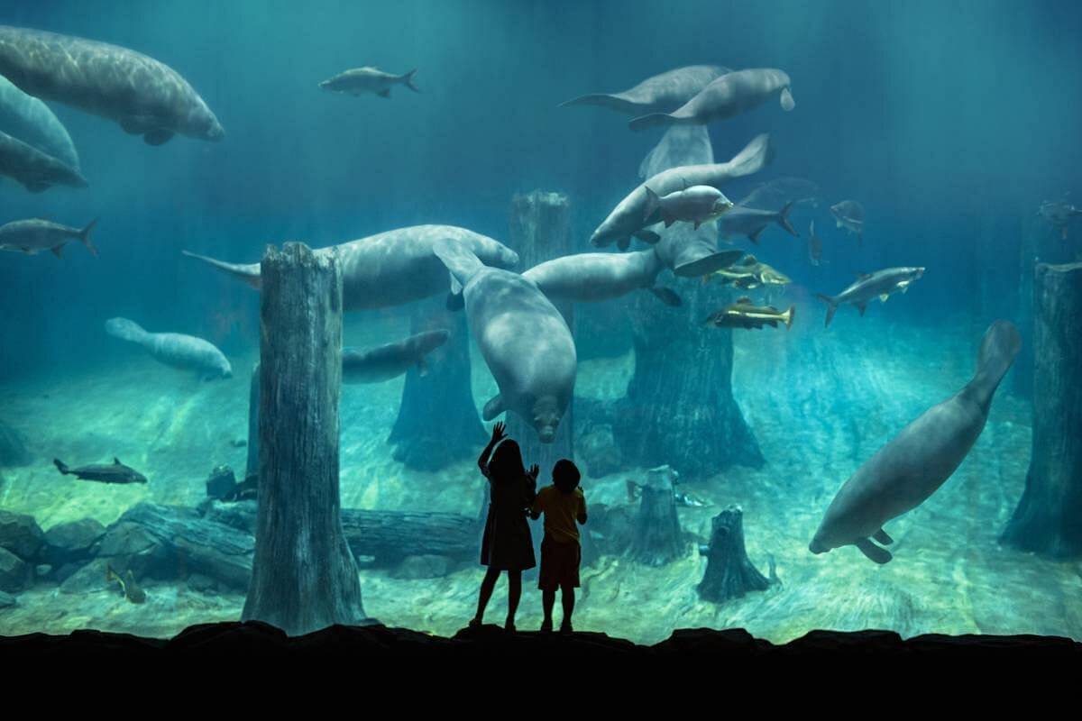 River Wonders Singapore