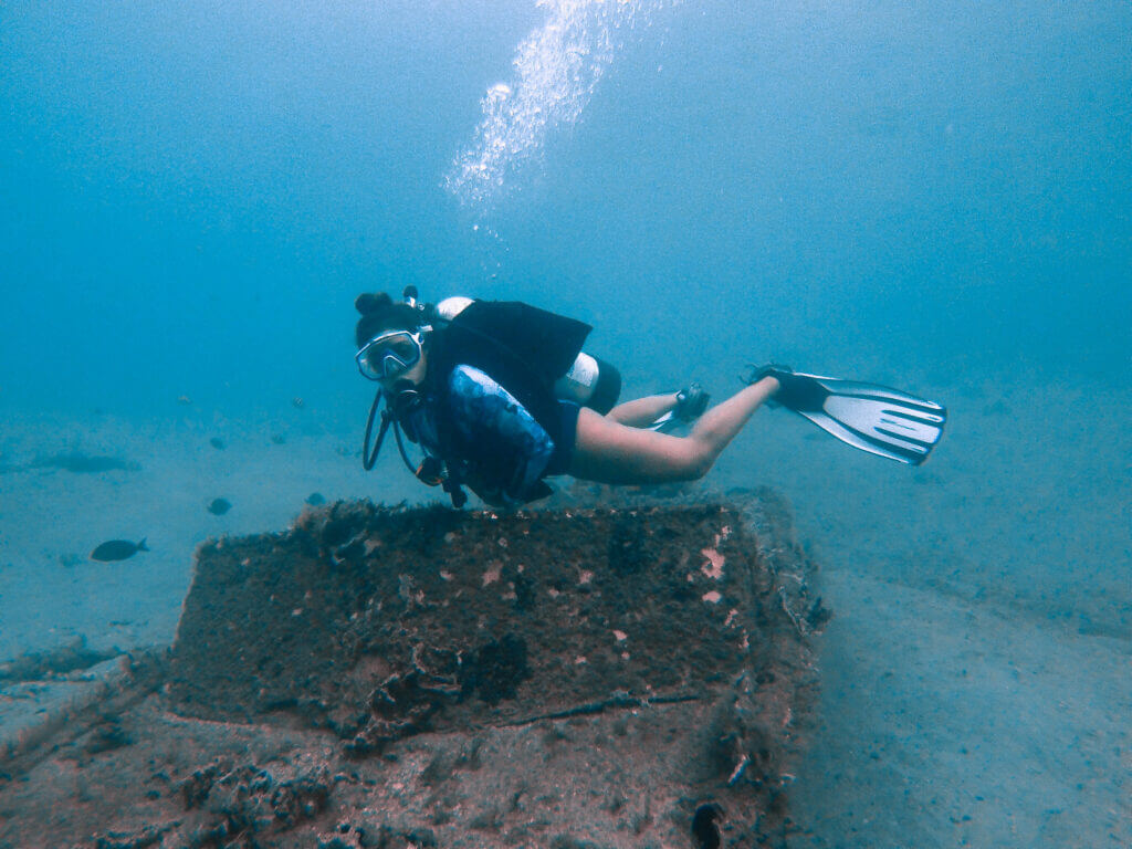 Scuba Diving Blue Heron Bridge, Florida