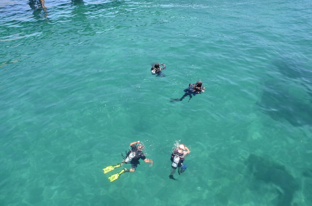 Scuba Diving Rapid Bay Jetty, South Australia