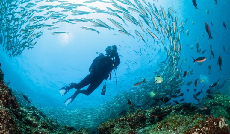 Scuba-diving-in-ecuador
