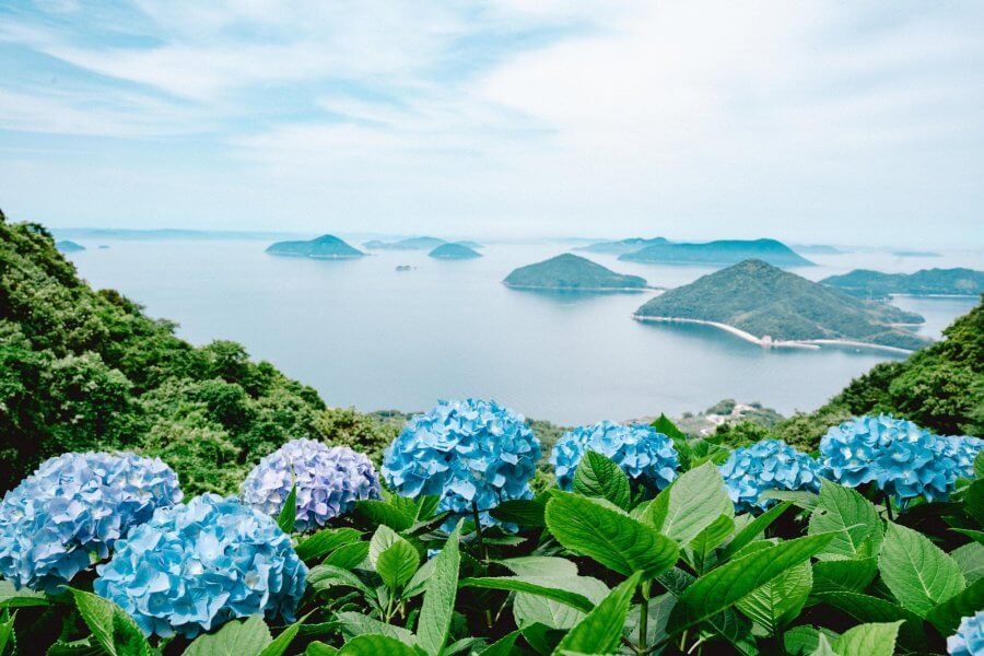 Shiude Mountain Japan
