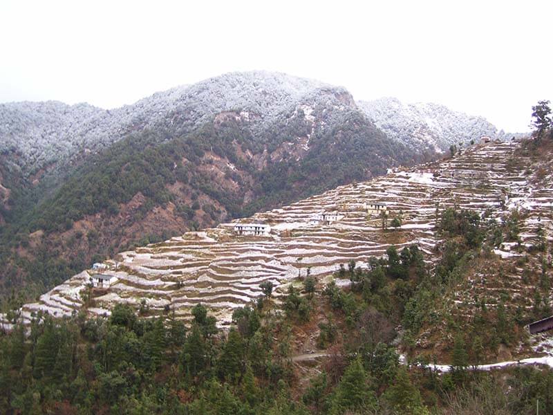 Snow in Khirsu Uttarakhand