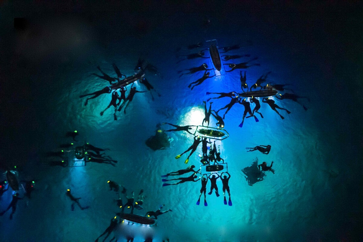 Suba Diving Manta Night Dive, Hawaii
