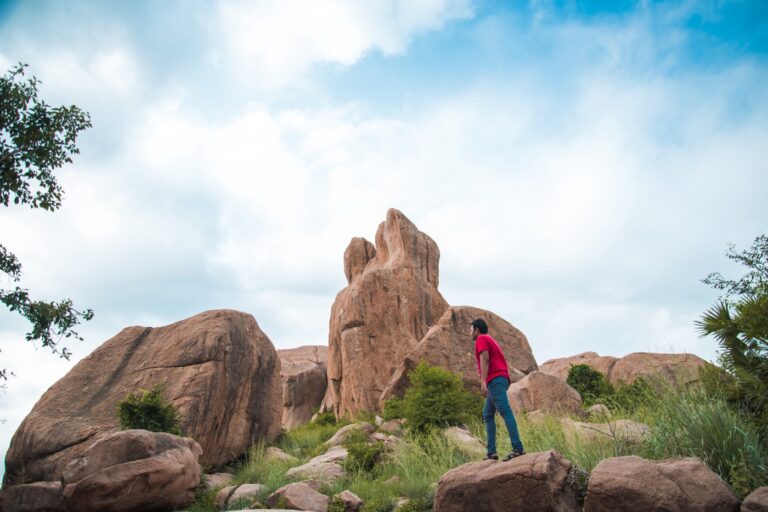First biodiversity heritage site in Tamil Nadu is Arittapatti