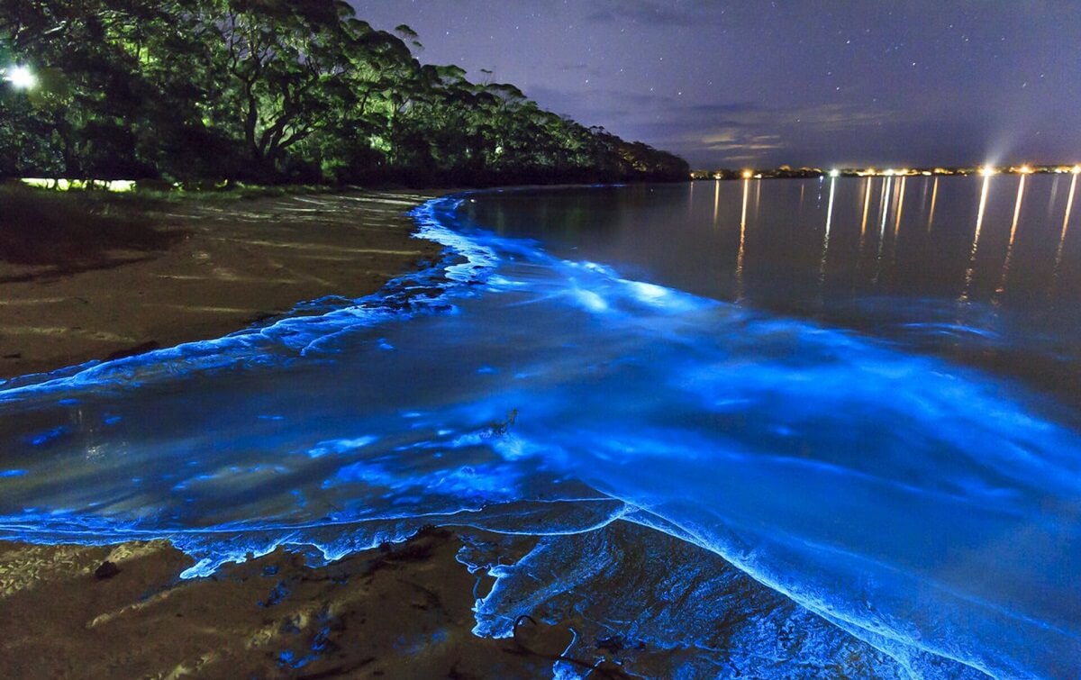 Vadhoo Island Maldives