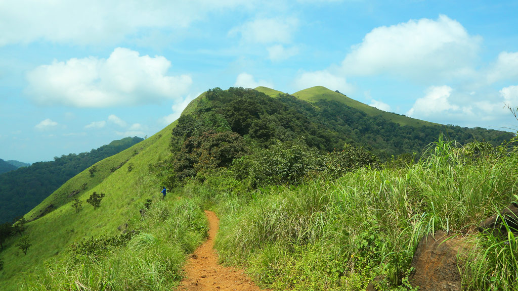 Ranipuram's forest