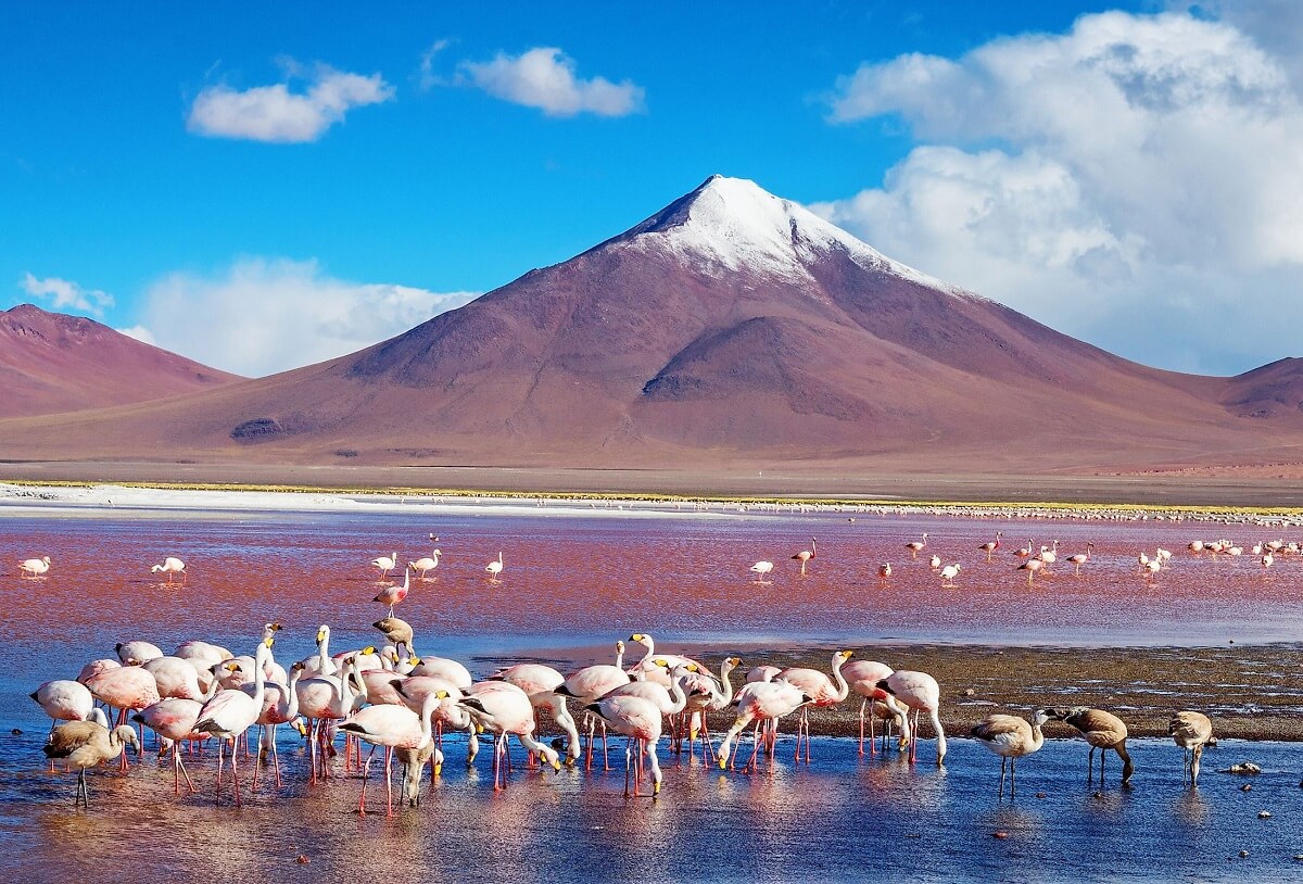 Bolivia's Laguna Colorada