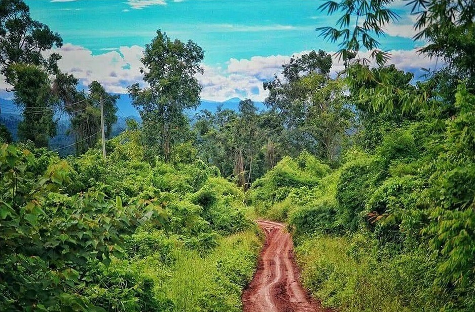 Cardamom Mountains Cambodia