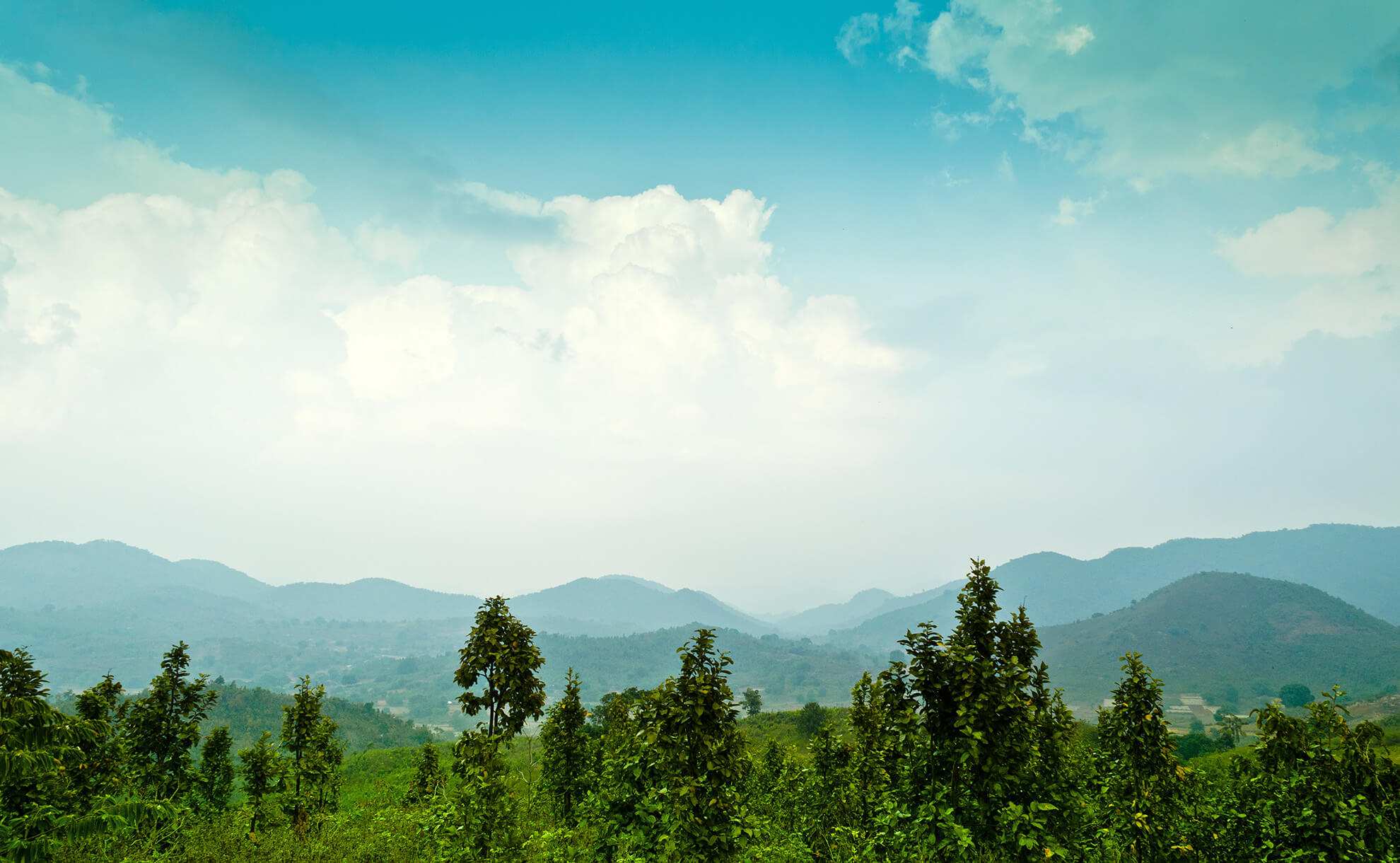 Daringbadi hill station odisha (1)