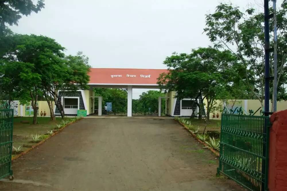 Dumna Nature Reserve Jabalpur Madhya Pradesh