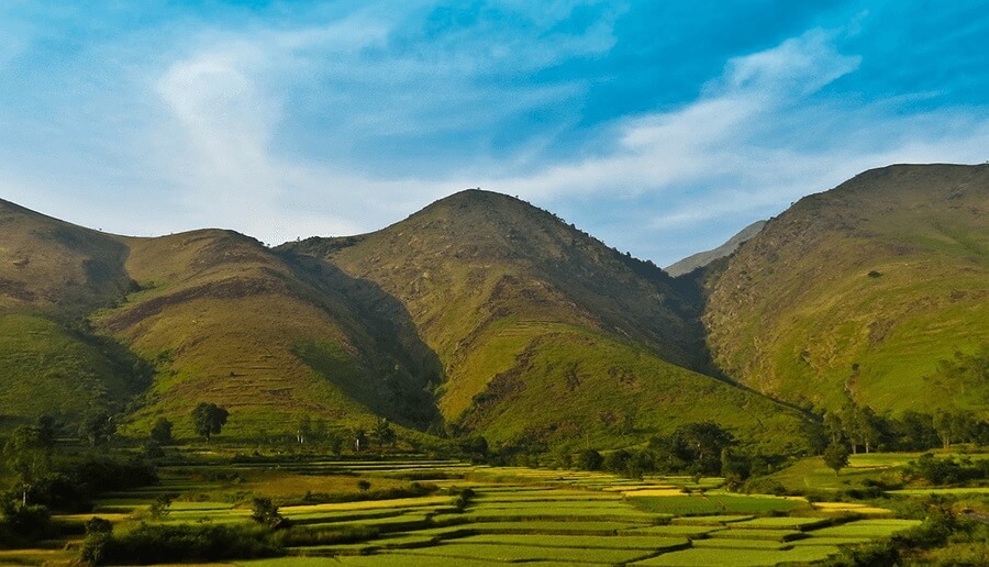 Dumuriput Hills Odisha