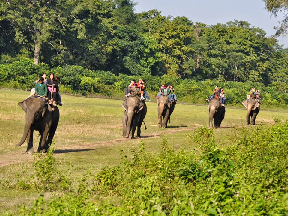 Koshi Tappu Wildlife Reserve, Nepal