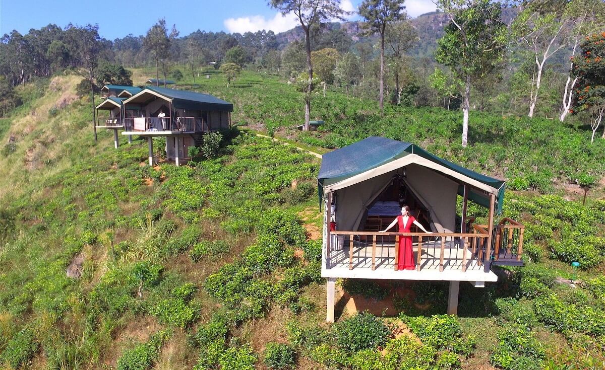 Madulkelle Tea and Eco Lodge Sri Lanka