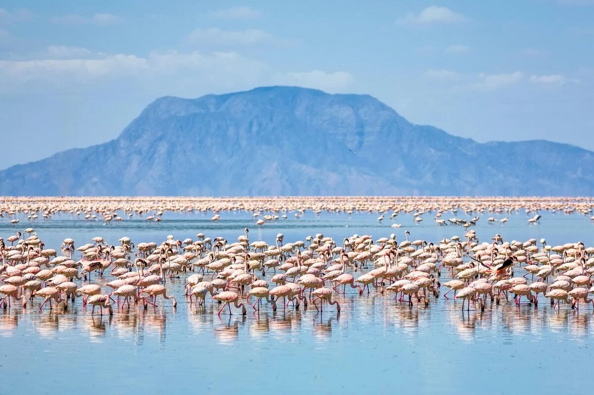 Natron Lake Tanzania
