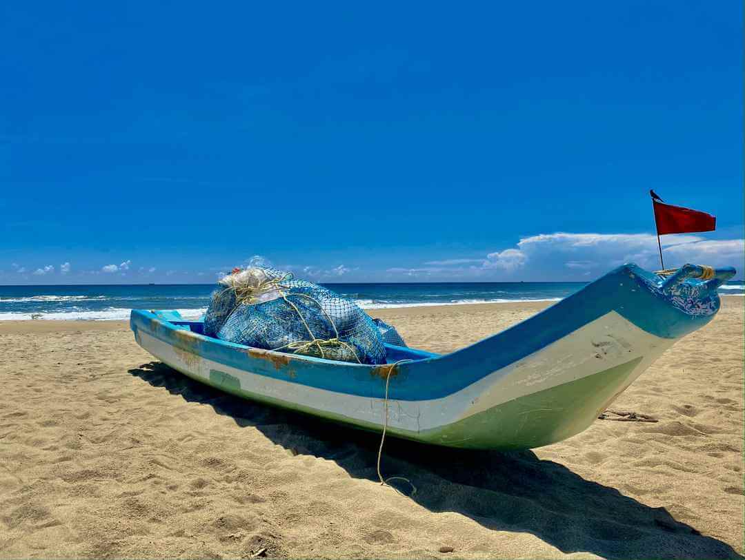 Sea by visiting the Gujarat coastline