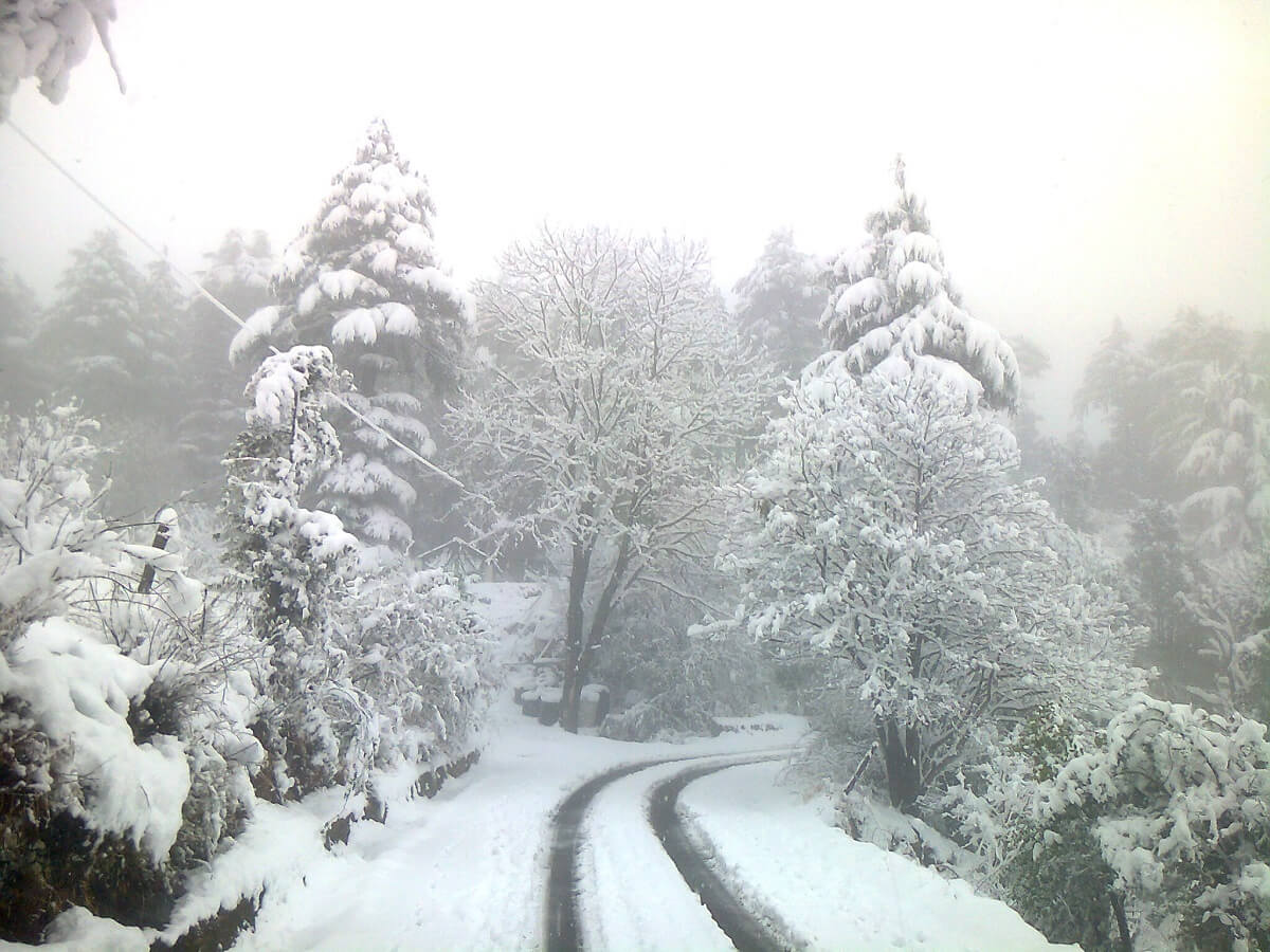 Snowfall in Dhanaulti Uttarakhand
