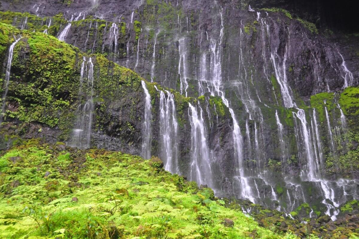 The Weeping Wall Kauai