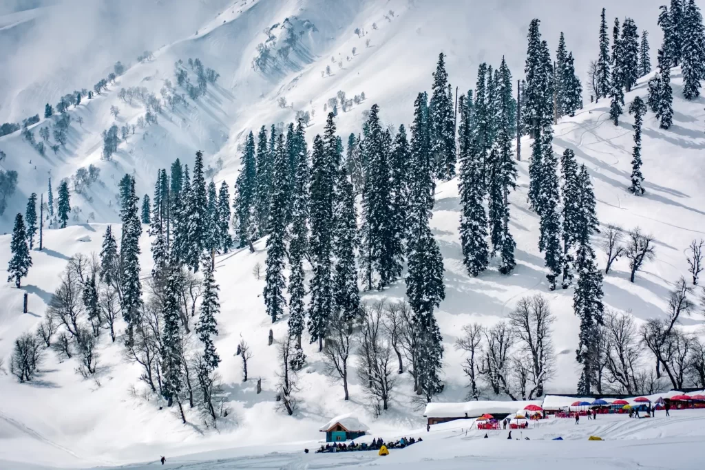 Top 10 Best Places to See Snowfall in India